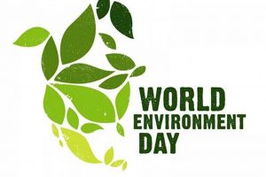 Ngày môi trường thế giới – Lịch sử và ý nghĩa